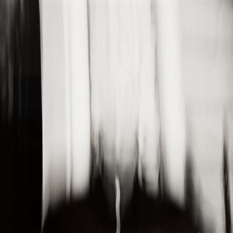 Experimentell – Ronald, 1993